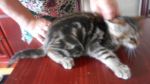 DSCN2817TIMIa.jpg